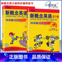 [套装2本]1A+1B 同步练全 小学通用 [正版]子金传媒新概念英语青少版同步练全入门级A+B测试卷阶段巩固练