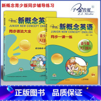 [套装2本]入门级 A 一课一练+语法 小学通用 [正版]子金传媒新概念英语青少版同步练全入门级A+B测试卷阶段巩固