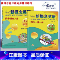 [套装2本]入门级 B一课一练+语法 小学通用 [正版]子金传媒新概念英语青少版同步练全入门级A+B测试卷阶段巩固练