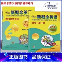 [套装2本]入门级 B一课一练+语法 小学通用 [正版]子金传媒新概念英语青少版同步练全入门级A+B测试卷阶段巩固练