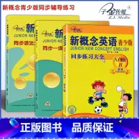 [入门级B]一课一练+同步语法+同步练习 小学通用 [正版]子金传媒新概念英语青少版同步练全入门级A+B测试卷阶段巩