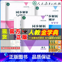 语文 六年级上 [正版]2023人教金学典 同步解析与测评 学考练 配套人教版小学一二三四五六年级上册 123456语文