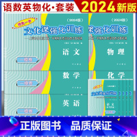 [套装10本]2024 高考一模卷 语数英物化 试卷+答案 高中通用 [正版]2024年版上海高考一模卷语文数学英语物理