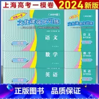 [套装6本]2024 高考一模卷 语数英试卷+答案 高中通用 [正版]2024年版上海高考一模卷语文数学英语物理化学历史