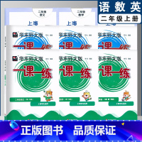 名校名卷+一课一练普通+增强语文数学英语N版 全9册 二年级上 [正版]2022新全9册 华师大一课一练 语文+数学+英