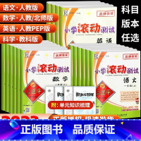 小学语文知识大全 四年级上 [正版]孟建平小学滚动测试一年级二年级三年级四年级五年级六年级上册下册语文数学英语科学 全套