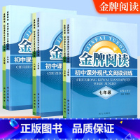 文言文 九年级/初中三年级 [正版]金牌阅读现代文文言文阅读训练全套七年级八年级九年级上册下册语文阅读训练专项训练练习册