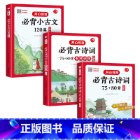 [全3册]必背古诗词+专项训练+小古文 小学通用 [正版]2023新版小学生必背古诗词75+80首必背小古文120篇专项