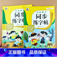 [五年级上+下册]同步练字帖 [正版]小学五年级上册下册语文字帖练字帖同步小学生硬笔书法练字本笔画笔顺每日一练生字写字帖