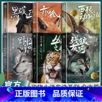 沈石溪挚爱动物小说系列 6册 [正版]沈石溪挚爱动物小说系列全集共6册套装 残狼灰满+赤狐+黑骏马+野性的呼唤+丛林之书