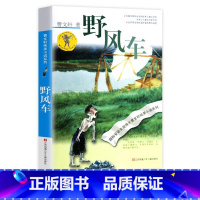 野风车 [正版]曹文轩系列完整版儿童文学课外阅读书籍 纯美小说自选集全套获奖作品草房子青铜葵花根鸟蜻蜓眼红瓦黑瓦山羊不吃