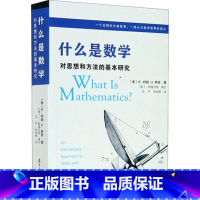 第四版 [正版]2本 什么是数学+习题解析 什么是数学第四版第4版配套习题解析 数学方法 对思想和方法的基本研究