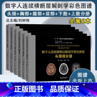 数字人连续横断层解剖学彩色图谱 [正版]正品 数字人连续横断层解剖学彩色图谱 全套6本 腹部+盆部与会阴+上肢+下肢+头