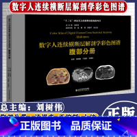 腹部分册 [正版]正品 数字人连续横断层解剖学彩色图谱 全套6本 腹部+盆部与会阴+上肢+下肢+头颈部+胸部分册 山东科