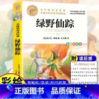 [美绘彩色图案]绿野仙踪 [正版]彩图草原上的小木屋 三四五六年级课外书老师国际大奖儿童文学经典名著美绘版原著 中小学生