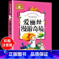 爱丽丝漫游奇境 [正版]兔子坡注音版 适合小学生一年级二年级三年级下册课外书的书目老师经典书籍上册儿童漫画绘本故事书全套