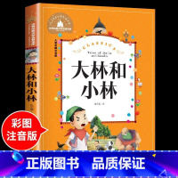 大林和小林 [正版]兔子坡注音版 适合小学生一年级二年级三年级下册课外书的书目老师经典书籍上册儿童漫画绘本故事书全套新蕾