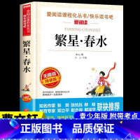 繁星`春水 [正版]全套4册 宝葫芦的秘密张天翼与青铜葵花曹文轩完整版小英雄雨来四年级下册阅读课外书书目小学下学期课外阅