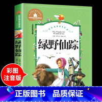 绿野仙踪 [正版]兔子坡注音版 适合小学生一年级二年级三年级下册课外书的书目老师经典书籍上册儿童漫画绘本故事书全套新蕾出