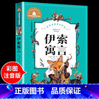 伊索寓言 [正版]兔子坡注音版 适合小学生一年级二年级三年级下册课外书的书目老师经典书籍上册儿童漫画绘本故事书全套新蕾出