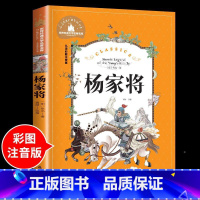 杨家将 [正版]兔子坡注音版 适合小学生一年级二年级三年级下册课外书的书目老师经典书籍上册儿童漫画绘本故事书全套新蕾出版