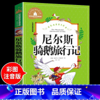 尼尔斯骑鹅旅行记 [正版]兔子坡注音版 适合小学生一年级二年级三年级下册课外书的书目老师经典书籍上册儿童漫画绘本故事书全