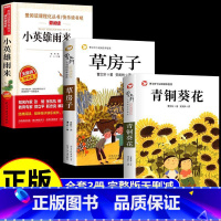 [全3册]小英雄雨来+青铜葵花+草房子 [正版]全套4册 宝葫芦的秘密张天翼与青铜葵花曹文轩完整版小英雄雨来四年级下册阅