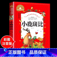 小鹿班比 [正版]兔子坡注音版 适合小学生一年级二年级三年级下册课外书的书目老师经典书籍上册儿童漫画绘本故事书全套新蕾出