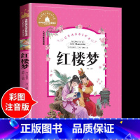 红楼梦 [正版]兔子坡注音版 适合小学生一年级二年级三年级下册课外书的书目老师经典书籍上册儿童漫画绘本故事书全套新蕾出版