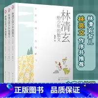 林清玄给少年的散文(套装3册) [正版]全3册 林清玄给少年的散文 大字版 书作家散文经典作品10-15-18岁青少