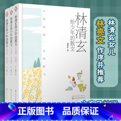 林清玄给少年的散文(套装3册) [正版]全3册 林清玄给少年的散文 大字版 书作家散文经典作品10-15-18岁青少