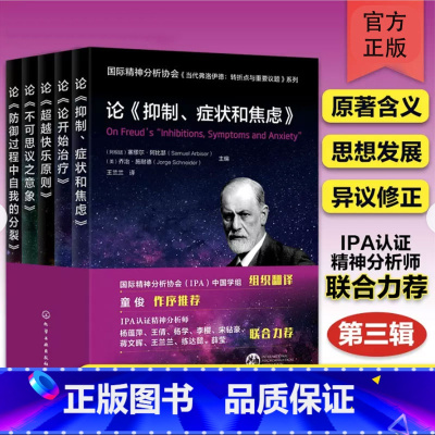 [正版] 全5册 国际精神分析协会大咖解读弗洛伊德系列第三辑 心理自助 当代弗洛伊德IPA心理学与自我分析精神分析专业教
