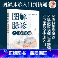 [正版]图解脉诊入门到精通 中医脉诊基础理论快速入门 把脉辨证诊断学脉象图谱图解脉诊 看脉图学脉诊 脉象歌诀速记解读图书