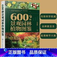 [正版] 600种景观园林植物图鉴 车晋滇 植物特征彩叶品种养护配景应用自然科学科普读物植物爱好者参考阅读公园街道小区绿