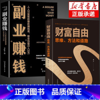 [全2册]副业赚钱+财富自由 [正版]抖音同款副业赚钱书籍小项目在家手工活财富进阶 主业求生存副业谋发展生意经教你赚钱本