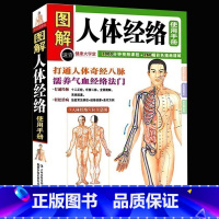 [正版] 图解人体经络使用手册 穴位按摩中医养生人体经络书籍 家庭中医保健养生书籍 中医养生经络使用手册 经络按摩百病消