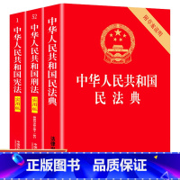 [正版]+刑法+民法典全套3册2021年新版法律书籍 中华人民共和国实用版书籍中国法制出版社刑法修正案十一法条