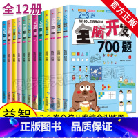 2-6岁全脑开发思维训练12册[3700题] [正版]全脑开发全脑开发思维训练700题+3000题儿童思维逻辑专注力训练