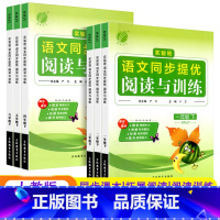2年级下册 小学通用 [正版]2023实验班语文同步提优阅读与训练小学1一2二3三4四5五6六初中7七8八9九年级上下册