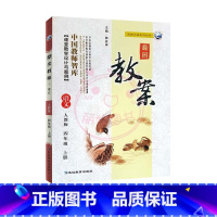 上册-四年级-语文人教版 小学通用 [正版]2023鼎尖教案小学语文人教版1一2二3三4四5五6六年级上下册教参教师备课