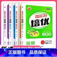 数学 小学四年级 [正版]小学数学培优三四五六3456年级基础提高上下册通用第三次修订小学数学专项训练练习解题方法技巧与