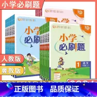 英语人教版 五年级上 [正版]河北专版2024新版小学必刷题一二三四五六年级下上册语文数学英语RJ人教版JJ冀教版同步练