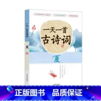 一天一首古诗词(夏) 小学通用 [正版]全套12册 一天一首古诗词一天一篇小古文春夏秋冬一天一个成语注音版小学小古文古诗
