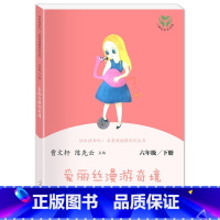 爱丽丝漫游奇境(下册) 小学通用 [正版]人教版快乐读书吧6六年级上下册汤姆索亚历险记童年爱的教育小英雄雨来爱丽丝漫游奇