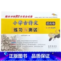 提高篇 小学通用 [正版]名校小学古诗文练习与测试基础卷+提高卷三四五六年级 必小古文背古诗词文言文阅读训练模拟测试卷期