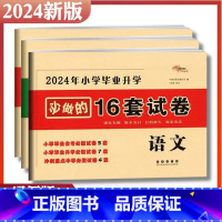 必做16套-语数英3本 小学升初中 [正版]2024年小升初毕业升学真卷精编语文数学英语小学6年级冲刺重点中学试卷精选考