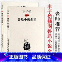 [正版]现代文学经典名家作品书系列丰子恺插图鲁迅小说全集上下册作品集名著狂人日记孔乙己故乡课外必读阅读书籍老师