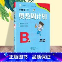 奥数周计划[B版] 小学四年级 [正版]小学生奥数周计划1一2二3三4四5五6六A版B版全套小学数学解决问题天天练同步练