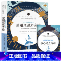 爱丽丝漫游奇境 [正版]中小学课外阅读1-2-3三4四5五6六年级上下册必读快乐读书吧书籍四大名著稻草人安徒生格林童话爱