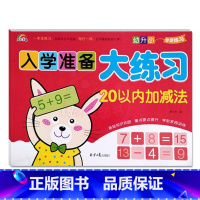 20以内加减法 幼小衔接 [正版]9册彩虹早教入学准备大练习拼音语言数学及描红加减法练习新蒙氏幼儿学前专项训练入学准备幼